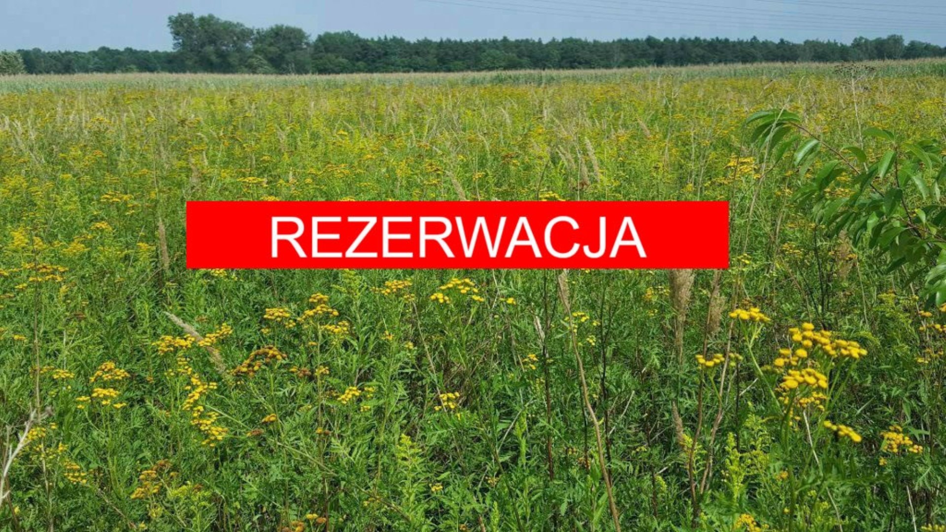 Działka na sprzedaż